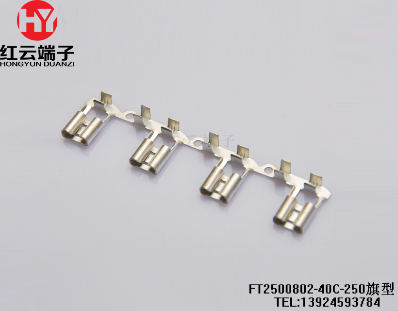 FT2500802-40C-250旗型